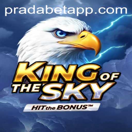 An In-Depth Look at KingOfTheSky: A Thrilling Adventure in Virtual Realms